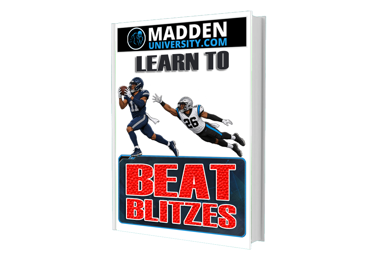 Learn to Beat Blitzes